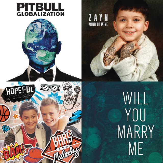 Will You Marry Me Once Jameson Lyrics