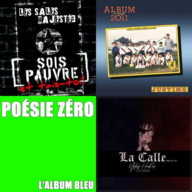 French Punk artists, music and albums Chosic