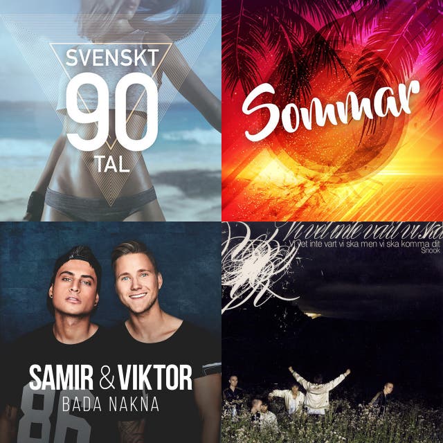 Bengt Palmers Med Suntrip Mot Solen