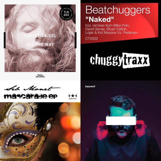 Norwegian House artists, music and albums Chosic