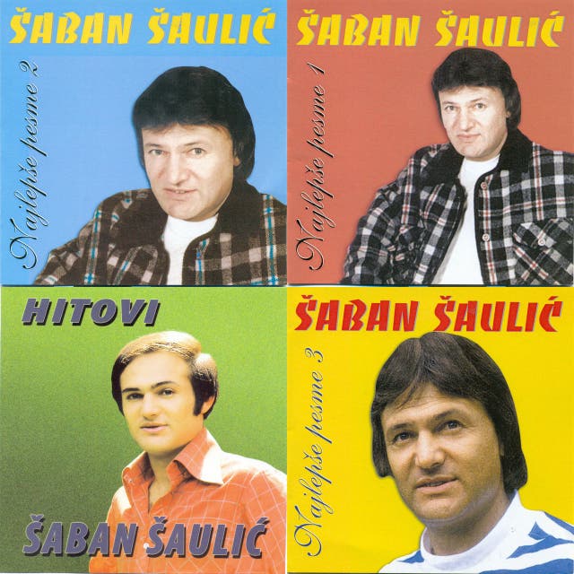 šaban šaulić Nocas Mi Se S Tobom Spava