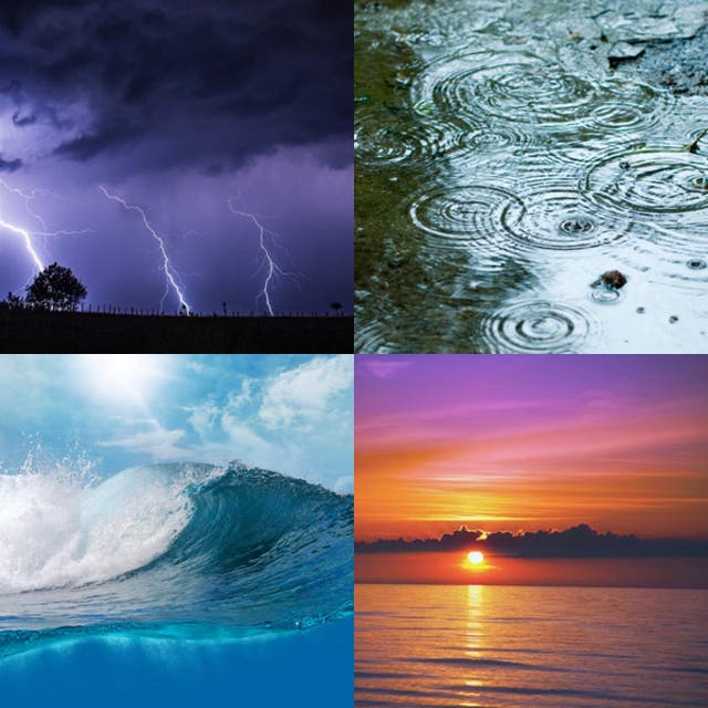 Nature Podcasts Playlist By Mark11671234 Spotify